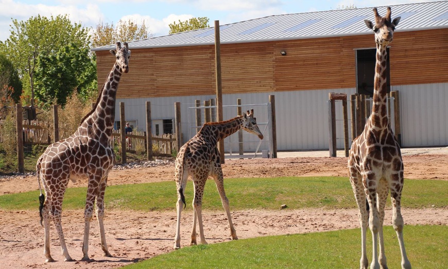 Image 3: Leicestershire Stay With Safari Park or Zoo Tickets