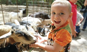 Up to 31% Off Petting Zoo Farm Experience at Green Meadows