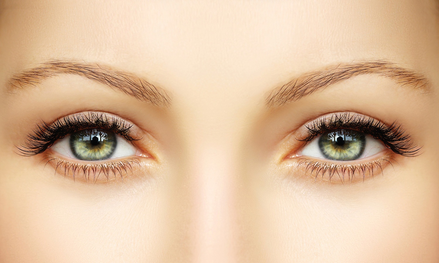 Lentes contacto de 6 o 12 meses