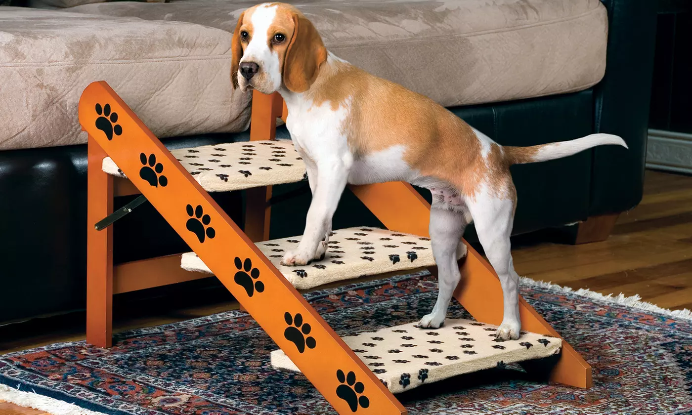 Convertible Pet Stairs and Ramp Combo - Primary Image