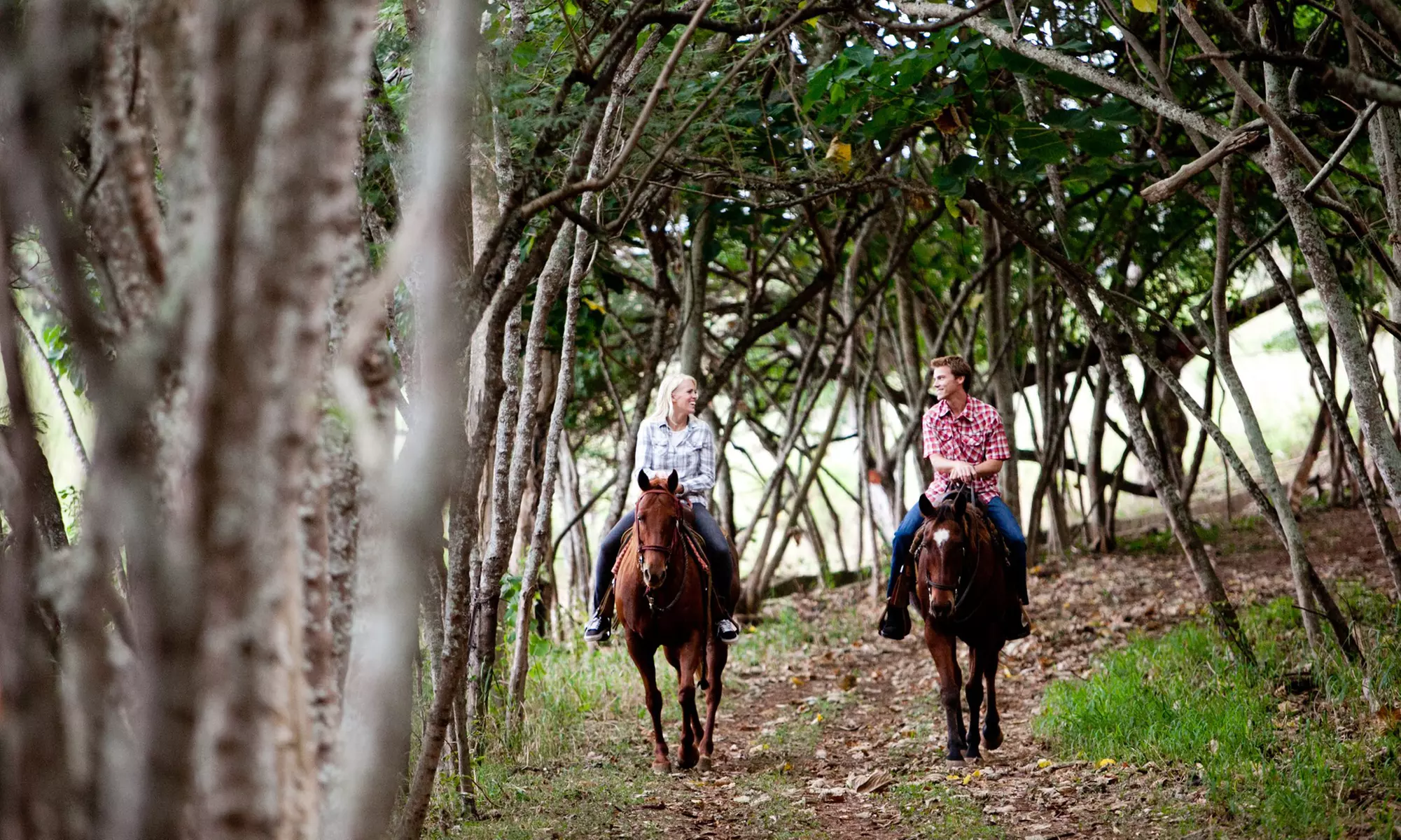 Horseback Trail Ride or Sunset Trail Ride, or a Pony and Pool Party at Gunstock Ranch (Up to 60% Off) - Primary Image
