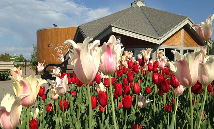 Image 9: Family Garden Visit