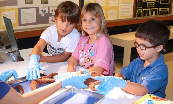 Night Museum Visit for Two or Four at South Florid... | Groupon