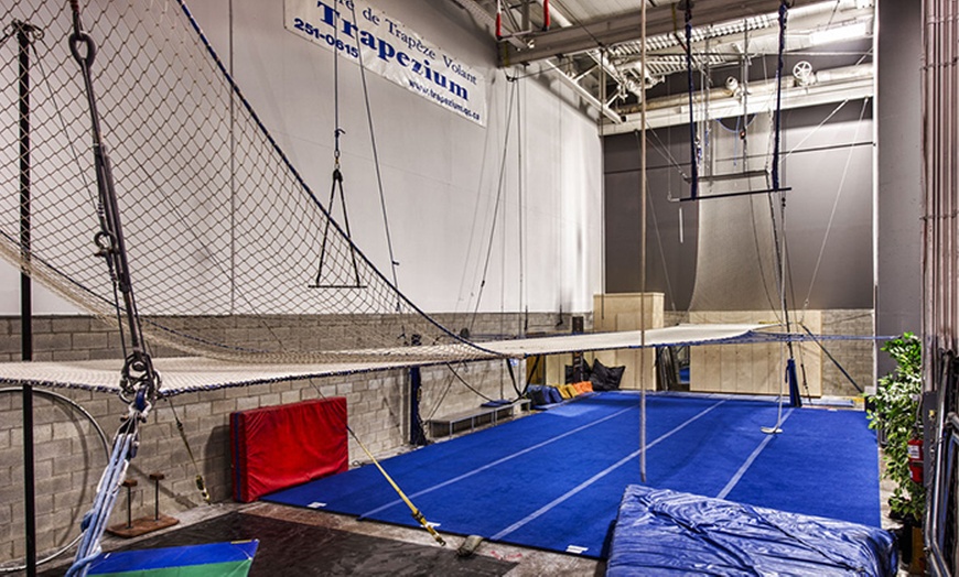 Image 2: Flying Trapeze Class