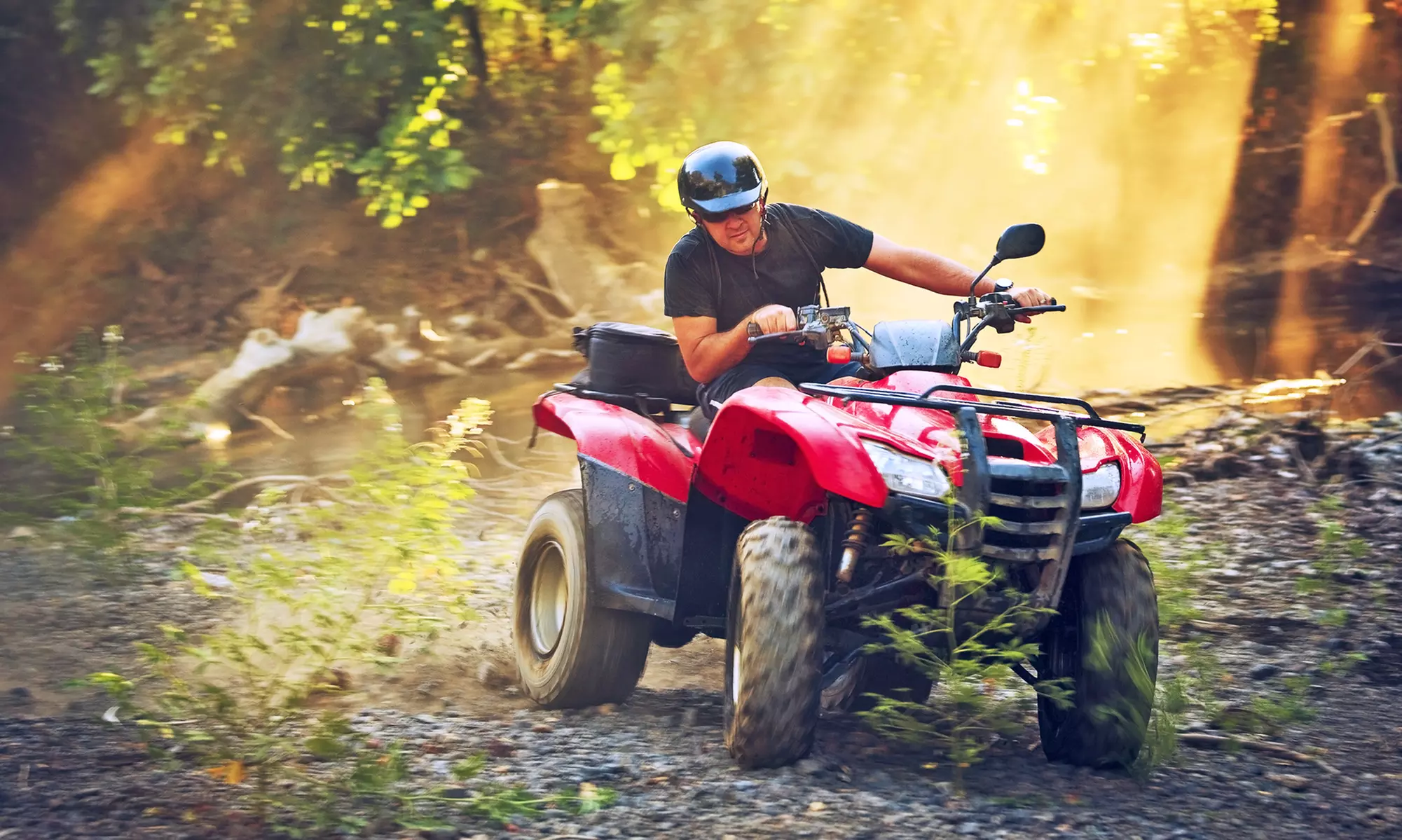 ATV and Horseback Riding for One, Two, or Four at  Pure Horse Play (Up to 54% Off) - Primary Image