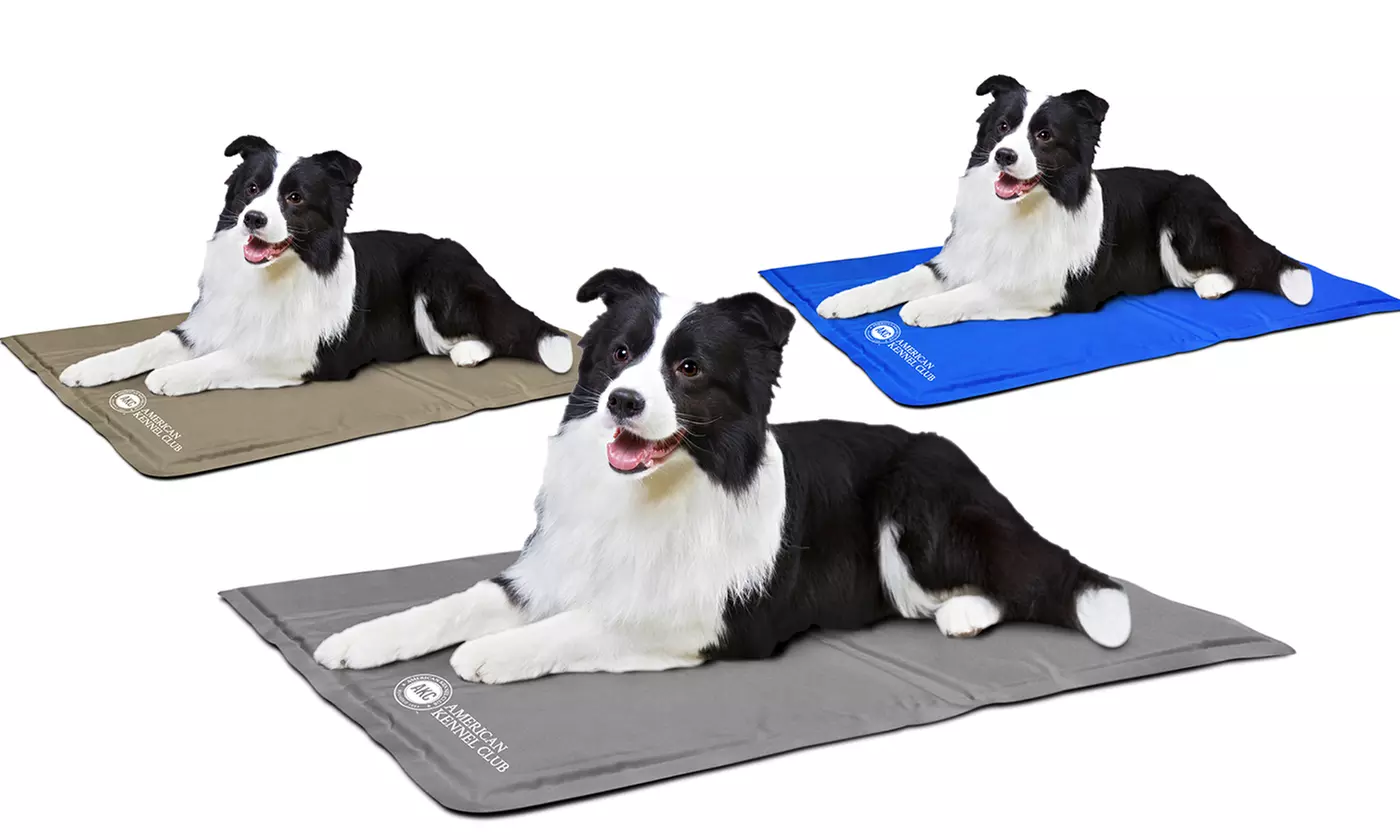 American Kennel Club Cooling Mat - Primary Image