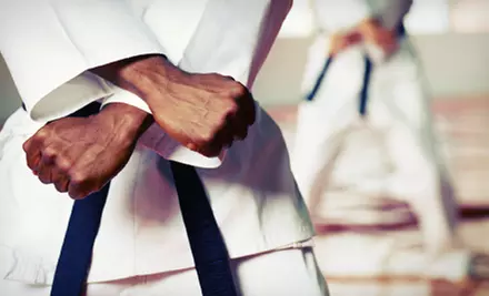 One or Two Months of Unlimited Classes at Innovative Martial Arts and Boot Camp (Up to 68% Off). Eight Options Available. - Primary Image