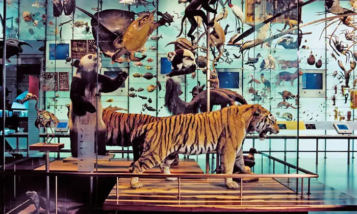 Dual or Family Membership with Space Show Tickets at American Museum of Natural History (Up to 41% Off)  - Second Medium