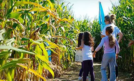 $9 for Robin Hood Corn-Maze Outing for Two at Harbes Family Farm & Vineyard ($19.90 Value) - Primary Image