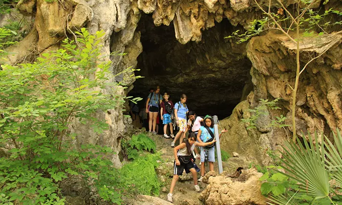 Hiking Tours from Westcave Outdoor Discovery Center (Up to 42% Off). Three Options Available. - Primary Image