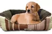 ASPCA Microtech Pet Cuddler Dog Bed - Second Medium