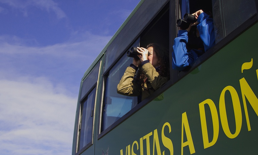 Image 12: Visita guiada al Parque Nacional de Doñana en 4x4 para adulto o niño