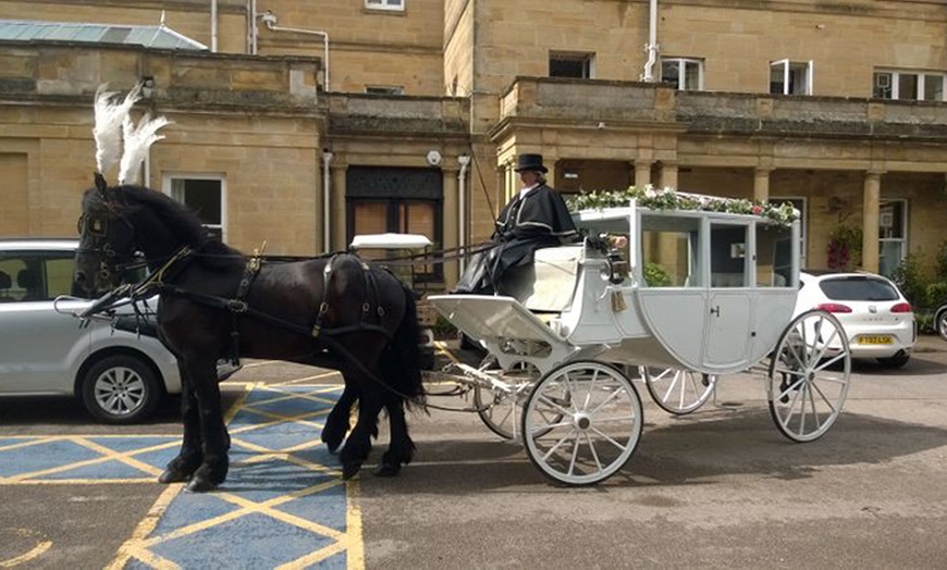 Image 5: Horse and Carriage Ride For Two