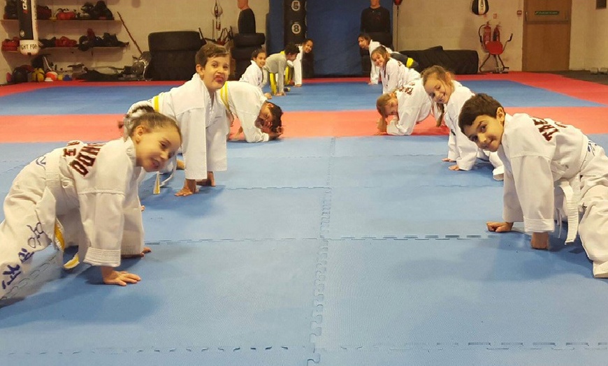 Image 7: Two Kids Taekwondo Lessons