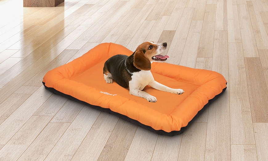 Image 12: Large Flat Dog Beds