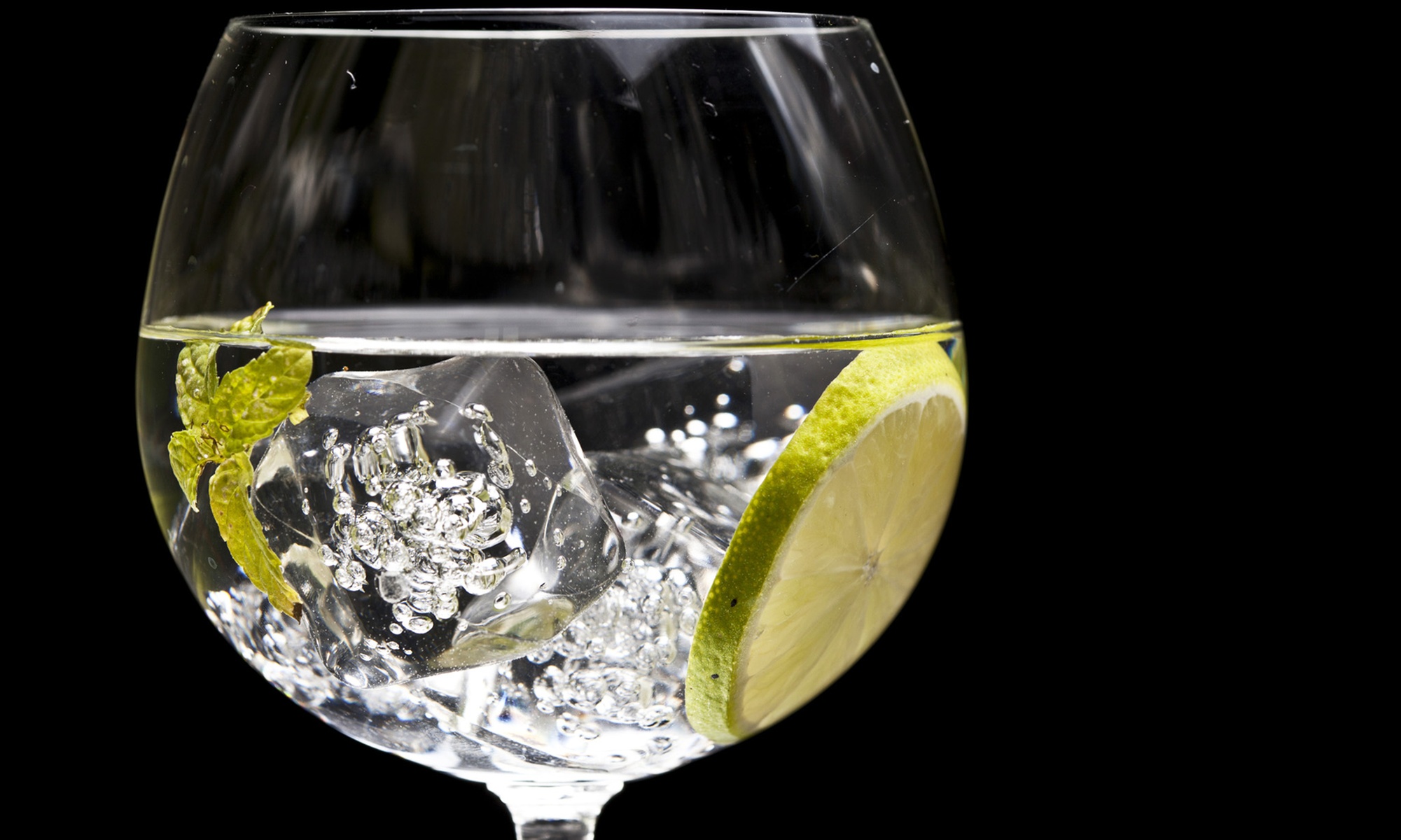 Hochwertiges Gin-Tonic-Tasting