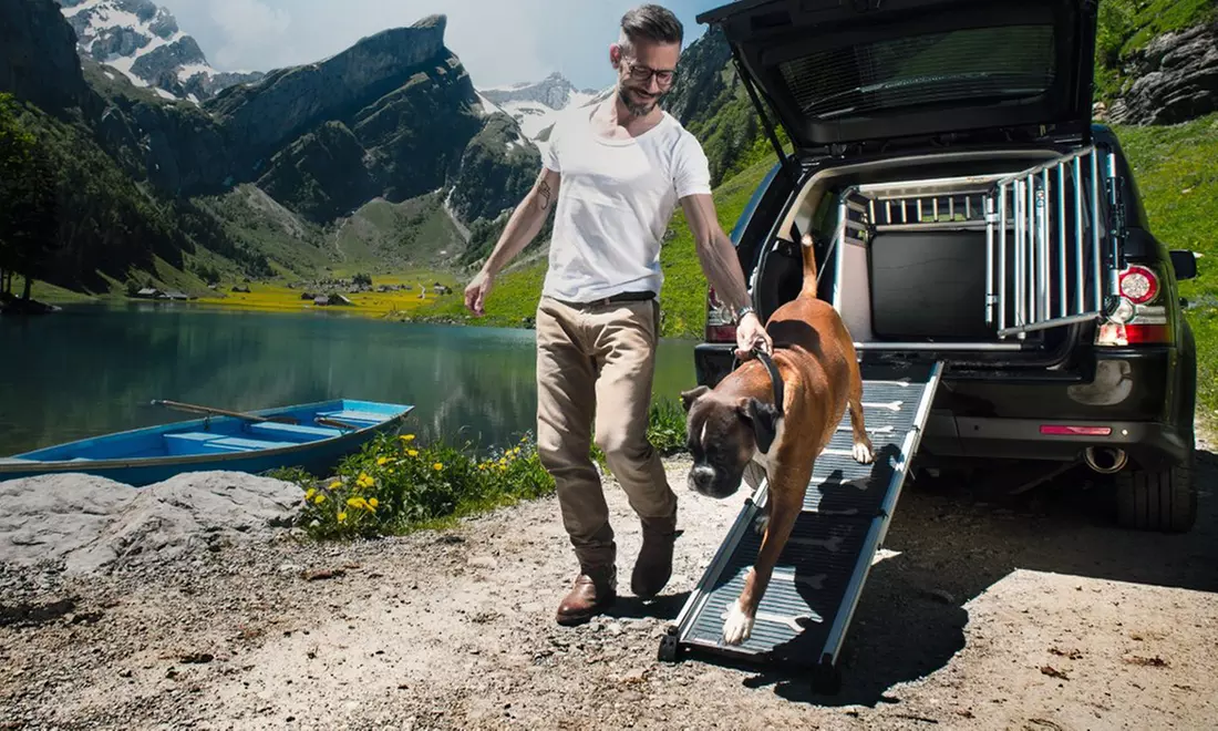 4pets EasySteps – Dog Ramp - Primary Image