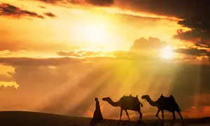 30-Day UAE Tourist Visa for One or Two from Highflyer Travels & Tourism