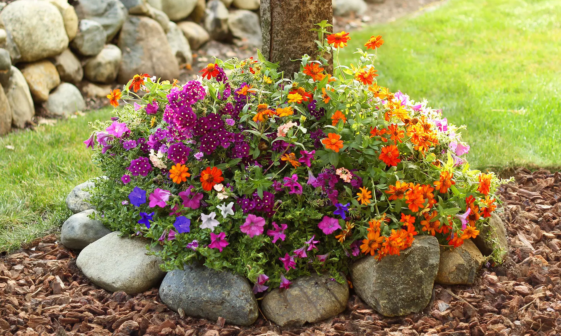 Shady or Sunny Tree Ring Flower Seed Mat & Soil (1-, 2-, or 4-Pack w/ Shovel) - Primary Image