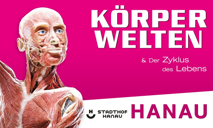 Image 1: 1 Ticket für Körperwelten in Hanau, einlösbar vom 17.11-05.12.2025