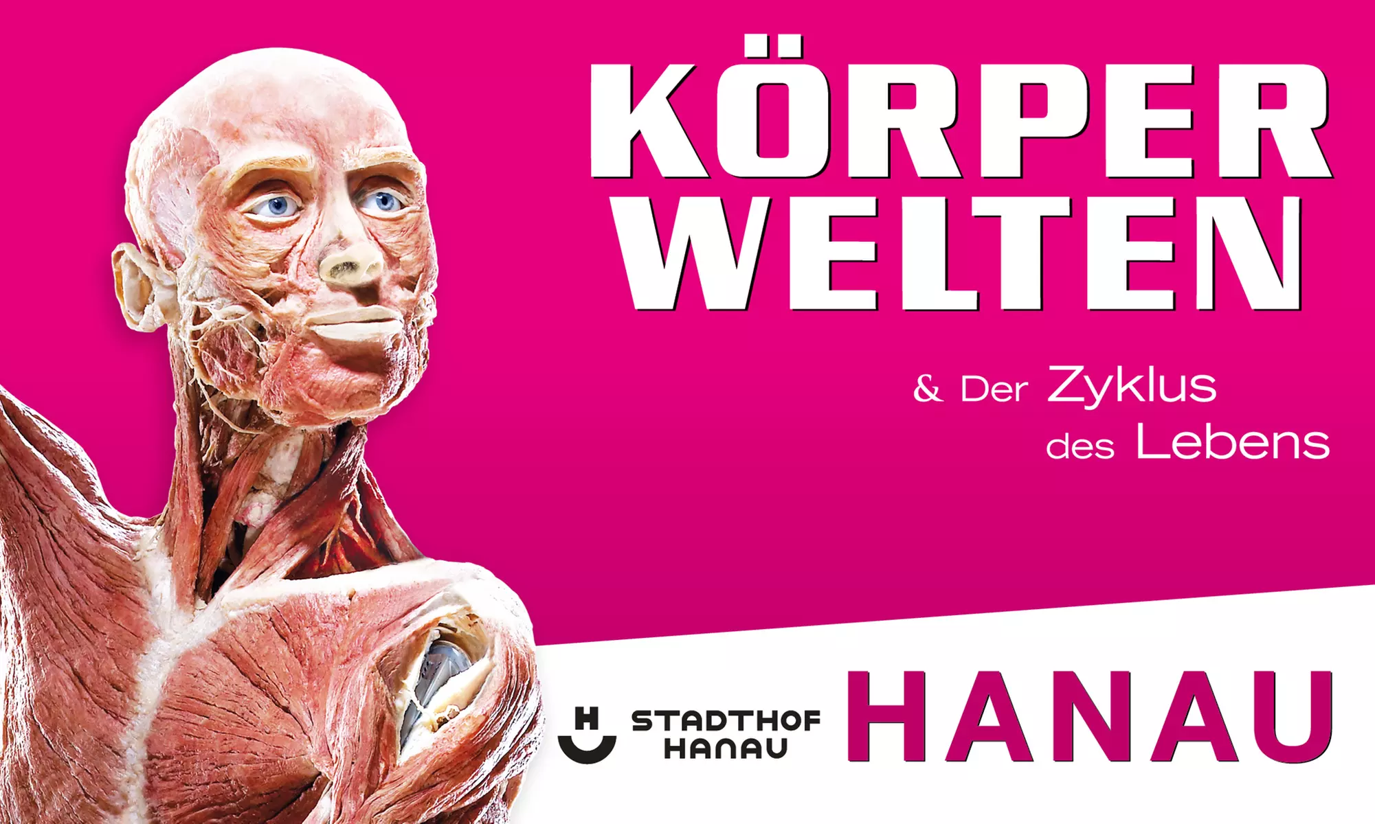 1 Ticket für Körperwelten in Hanau, einlösbar vom 17.11-05.12.2025 im Stadthof Hanau(25% sparen) - Primary Image