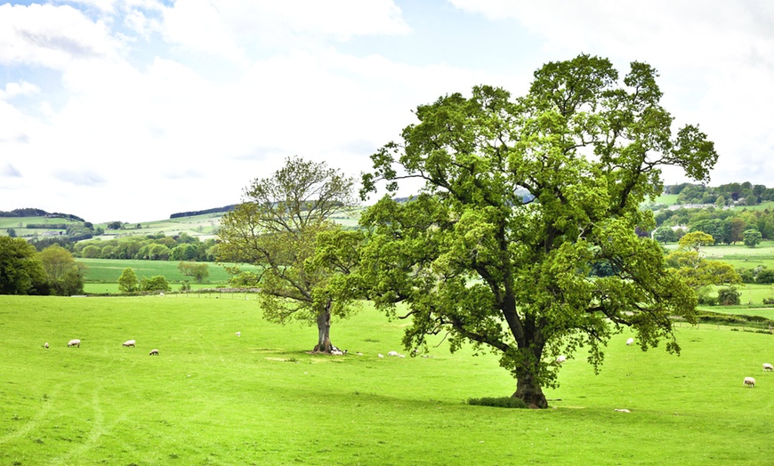 Image 3: Scottish Borders Stay