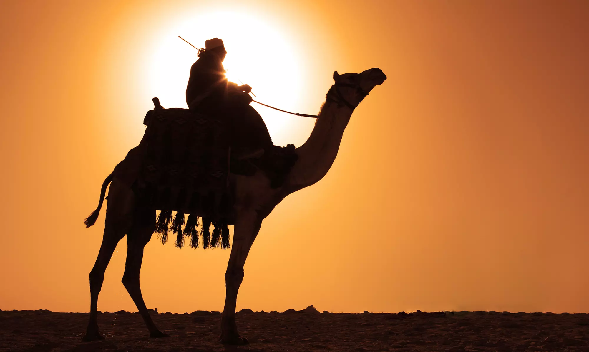 Egypt Vacation. Price/Person, Based on Two Guests per Room. Buy One Voucher per Person. - Primary Image