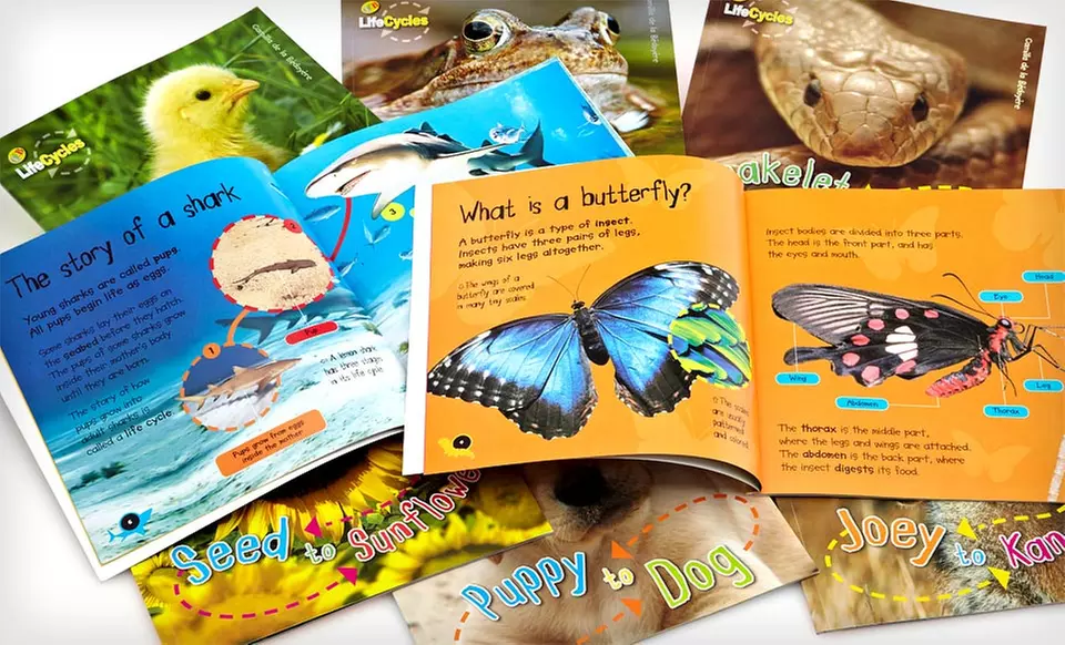 $11.99 for a LifeCycles 8-Book Children's Set ($79.95 List Price) - Second Medium