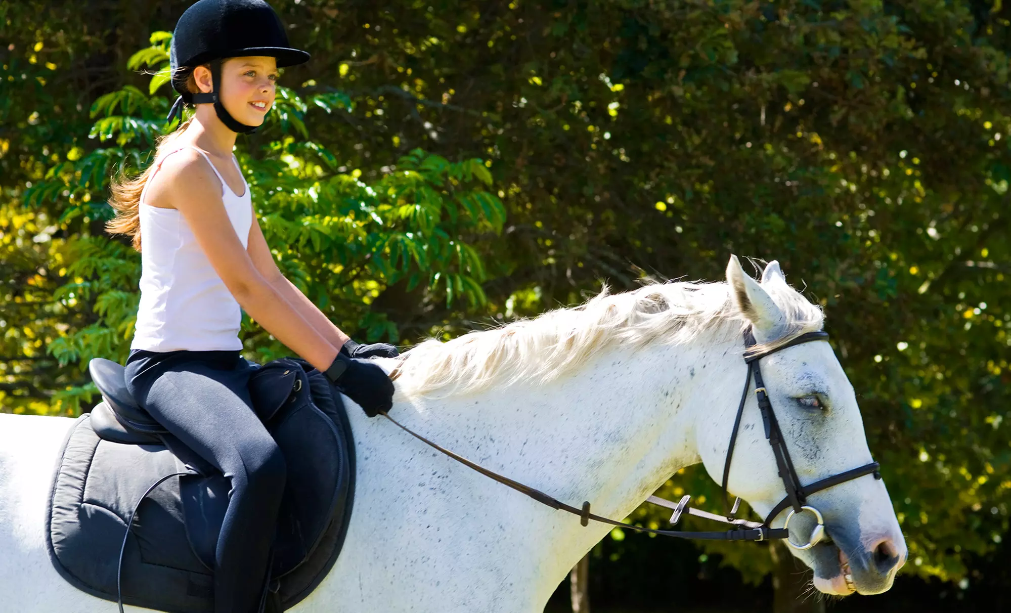 Four, Six, or Eight Private Horseback-Riding Lessons at White Training Stables (Up to 55% Off) - Primary Image