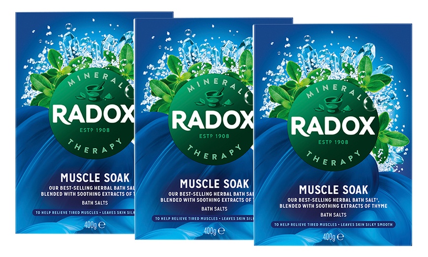 Image 4: Radox Bath Therapy Muscle Soak Herbal Bath Salts 400g