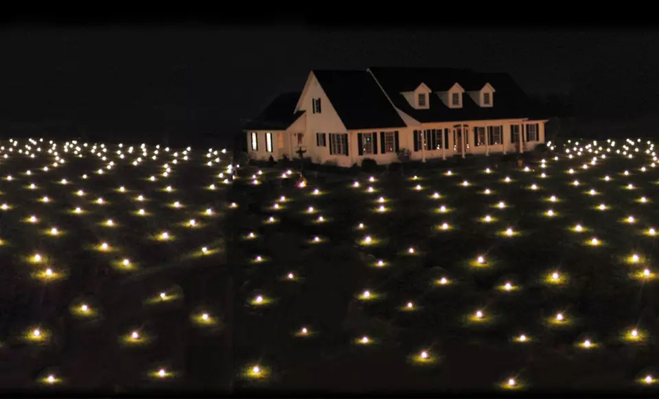 Lawn Lights LED Warm-White Decorative Lights - Primary Image