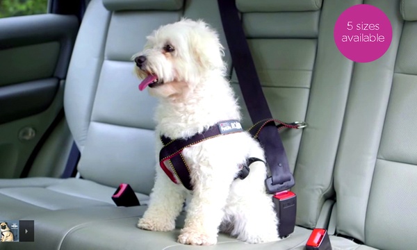 Roadie sales dog harness