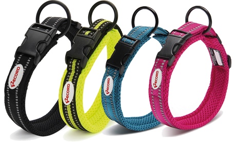 Collare per cani Record disponibile in 4 colori e varie dimensioni