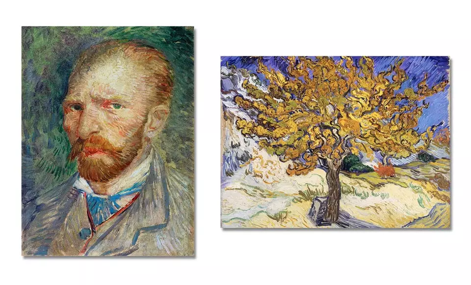 $69.99 for a 30”x40” Van Gogh Canvas Print ($335 List Price). Multiple Prints Available. Free Shipping and Returns. - Second Medium