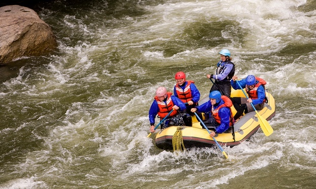 What to expect media