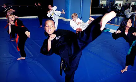 One Month of Karate Classes, or Two or Three Months of Karate with Uniform at Steve Anderson Karate (Up to 88% Off) - Primary Image