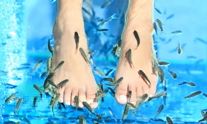 Sesión de ictioterapia con higiene de pies y opción a masaje, reflexología y aromaterapia desde 9,90 € en Bienestar Chic - Primary Image