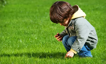 $29 for a Lawn Fertilization and Weed Treatment from Lawn Doctor ($61 Value) - Primary Image