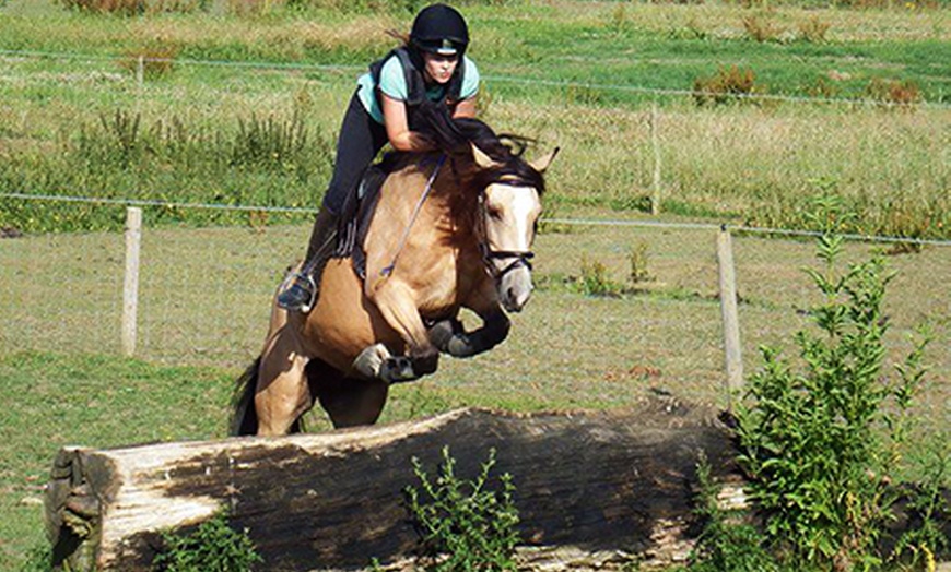 Image 1: Horse Riding Lesson