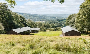 3 of 7 nachten glamping op een boerenbed-boerderij