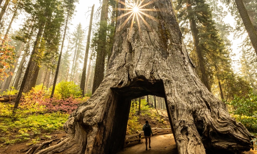 Image 18: ✈ Yosemite: 4-Day Adventure with Air & Hotel from Worldee