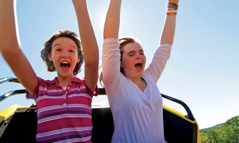 Ultimate Party Bash w/ Pizza, Drinks, Rides, Private Room in Maryland