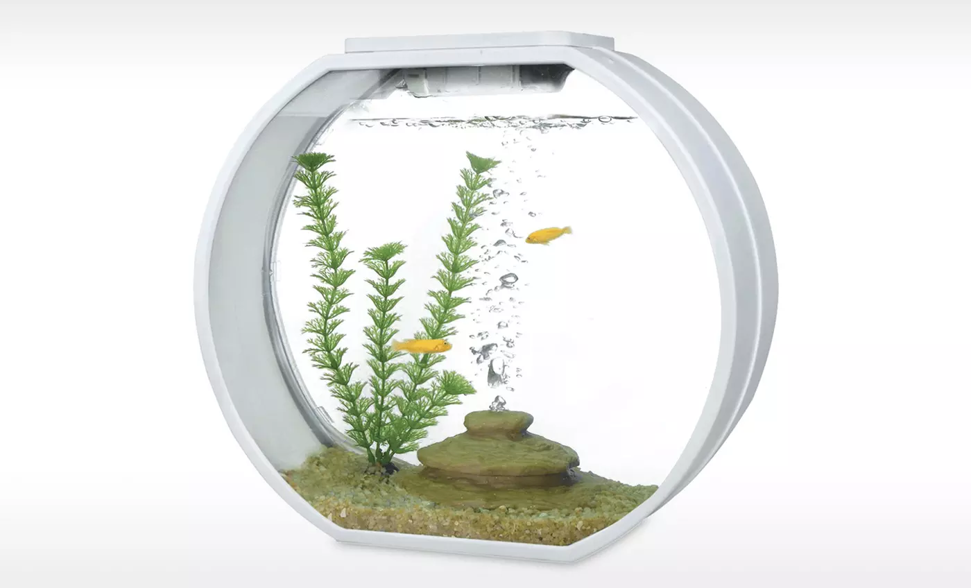 Deco O Mini or Large Aquarium - Second Medium