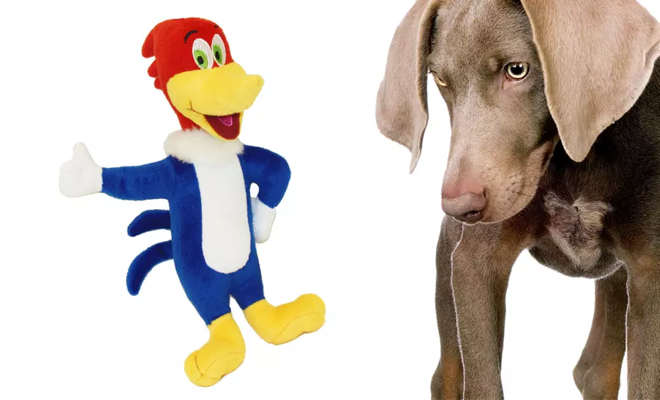 Woody Woodpecker Plush Dog Toy - Primary Image