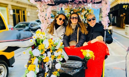 One Hour Central Park Pedicab Tour for 2 - VIP Central Park Tours - New York