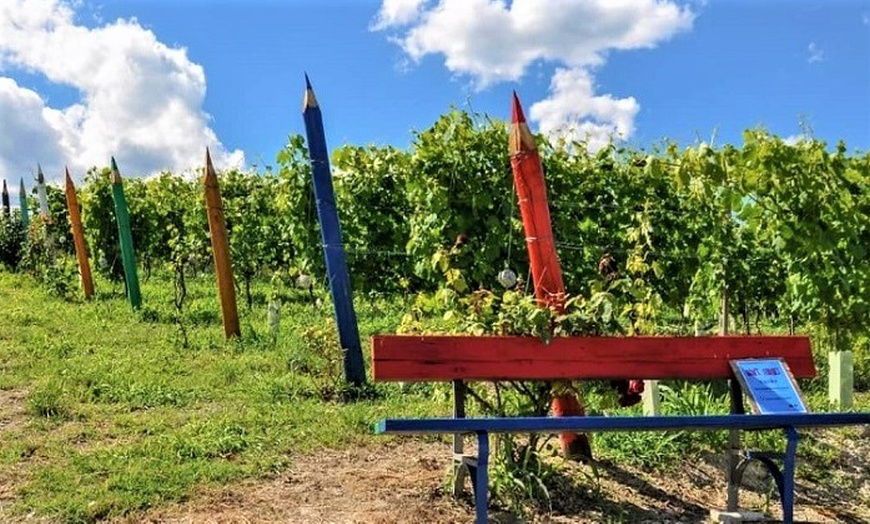 Image 3: Degustazione vini, salumi e formaggi da Azienda agricola Paoletti