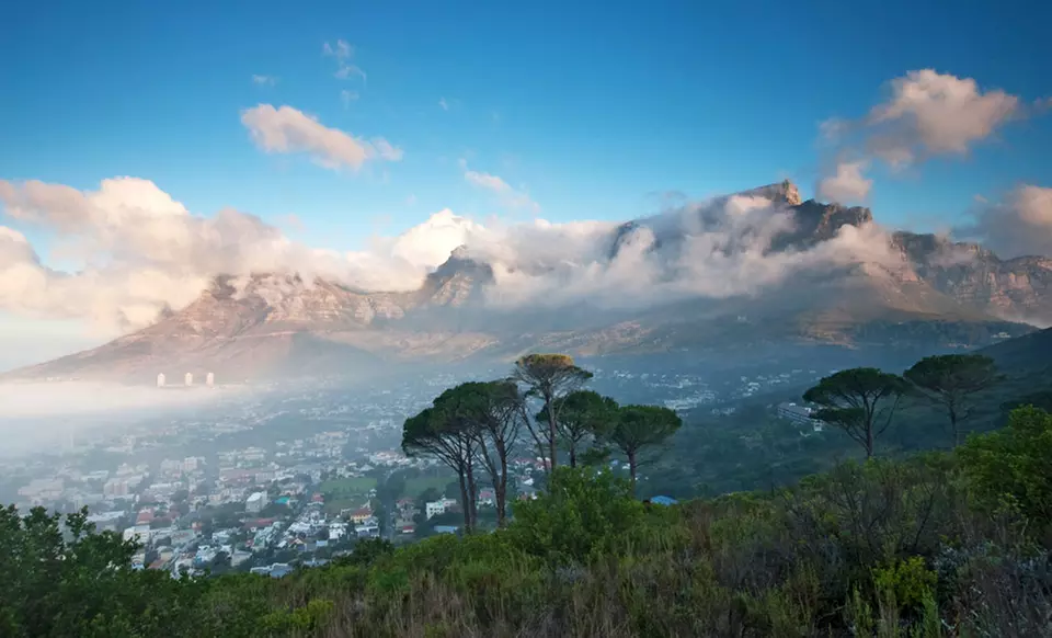 South Africa Tour and Safari Experience with Airfare. Price/person Based on Double Occupancy.  - Primary Image