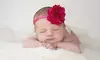120-Minute Newborn Photo Shoot from Precious Art Photography (45% Off)