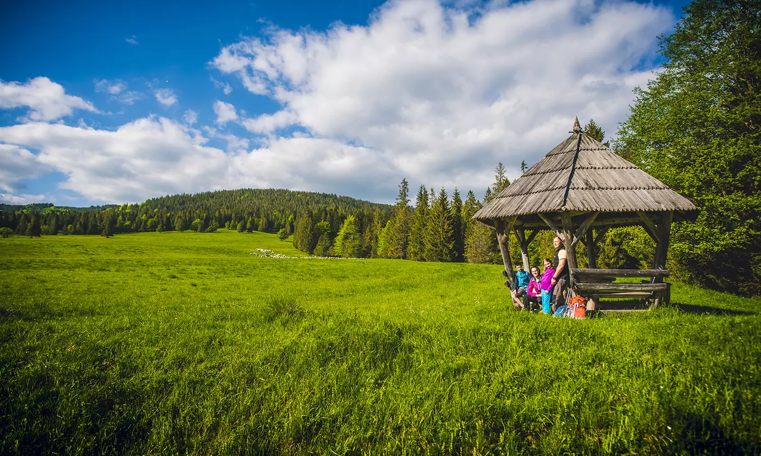 Baseny geotermalne i wodne atrakcje w Aquaparku Meander Oravice