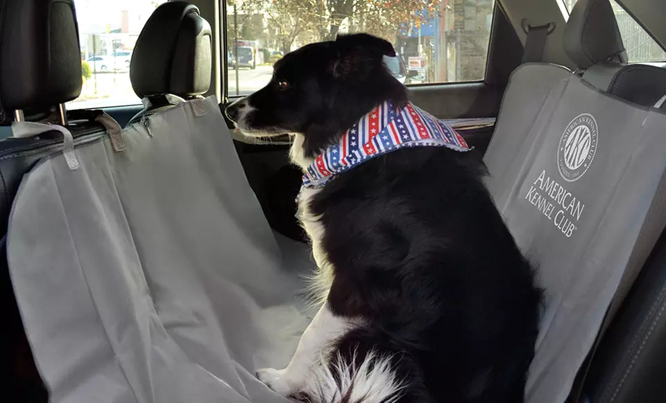 American Kennel Club Water-Resistant Car-Seat Cover - Second Medium